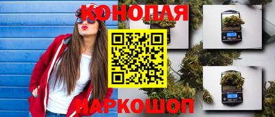 mdpv Рыбинск