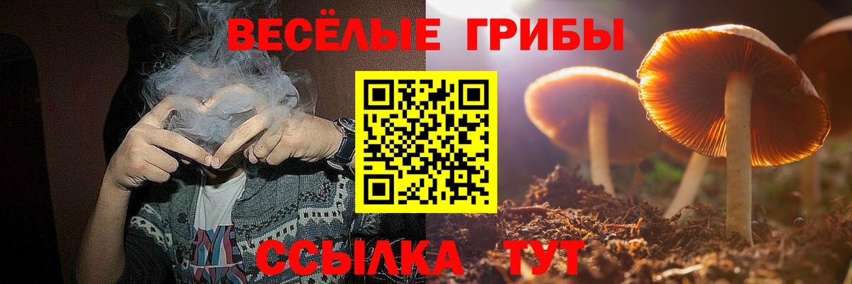 Псилоцибиновые грибы Magic Shrooms Азов